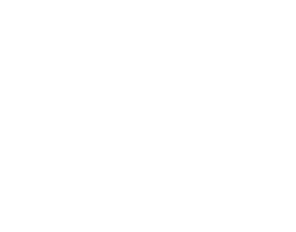 BGSupply-WhiteLogo